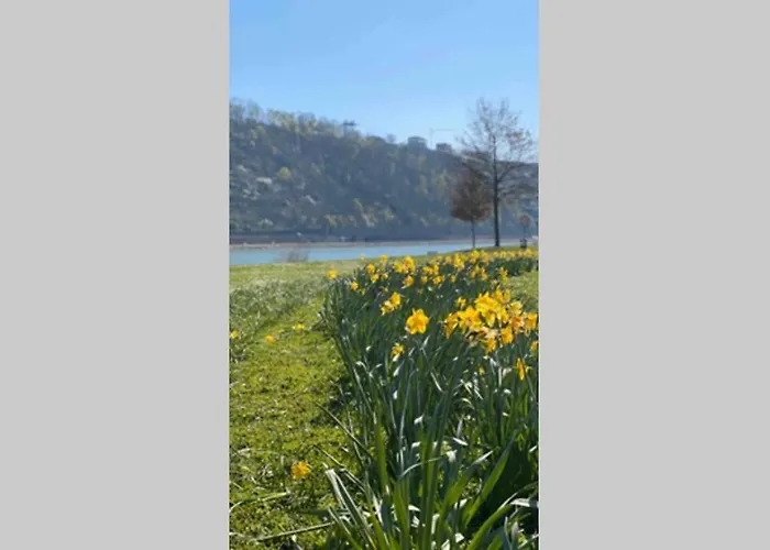 아파트 Comfortable New In #koblenz# Direkt Am Rhein